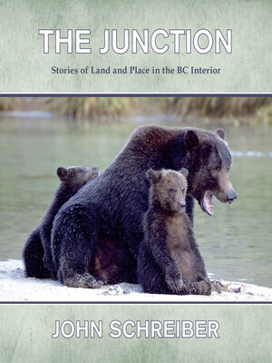 The Junction - ebook